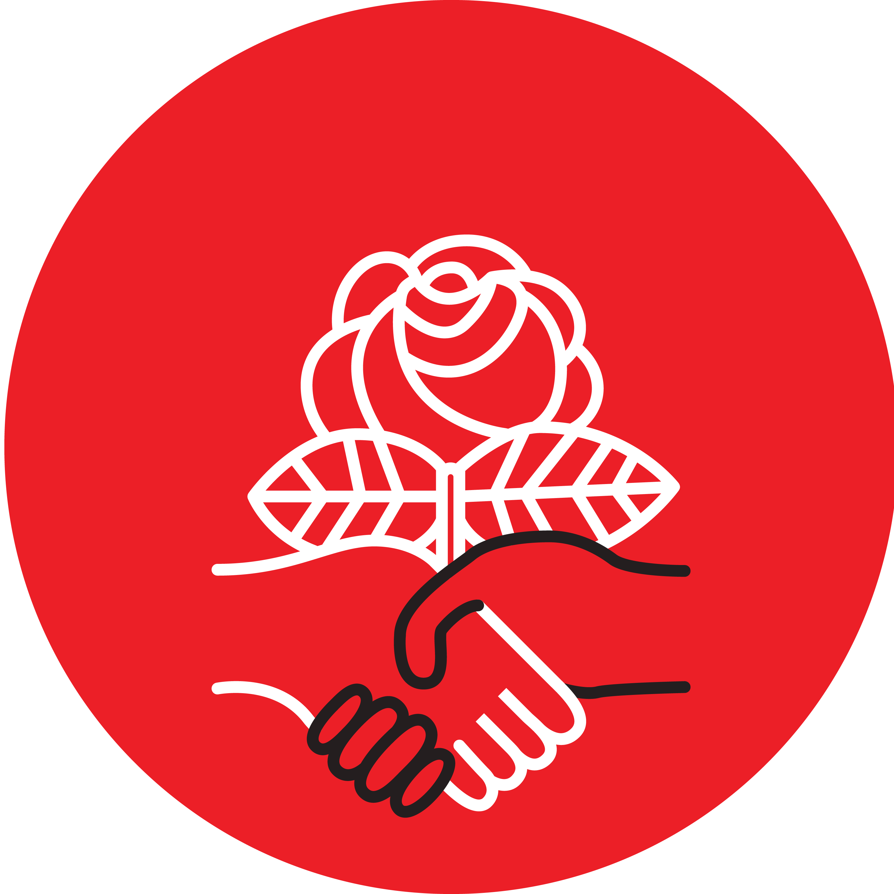 Democratic Socialists of America logo